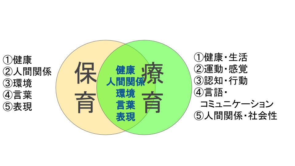 ãåç»ç¨ã2019å¹´8æä¿è²å¡¾ çè²ããå­¦ã¶